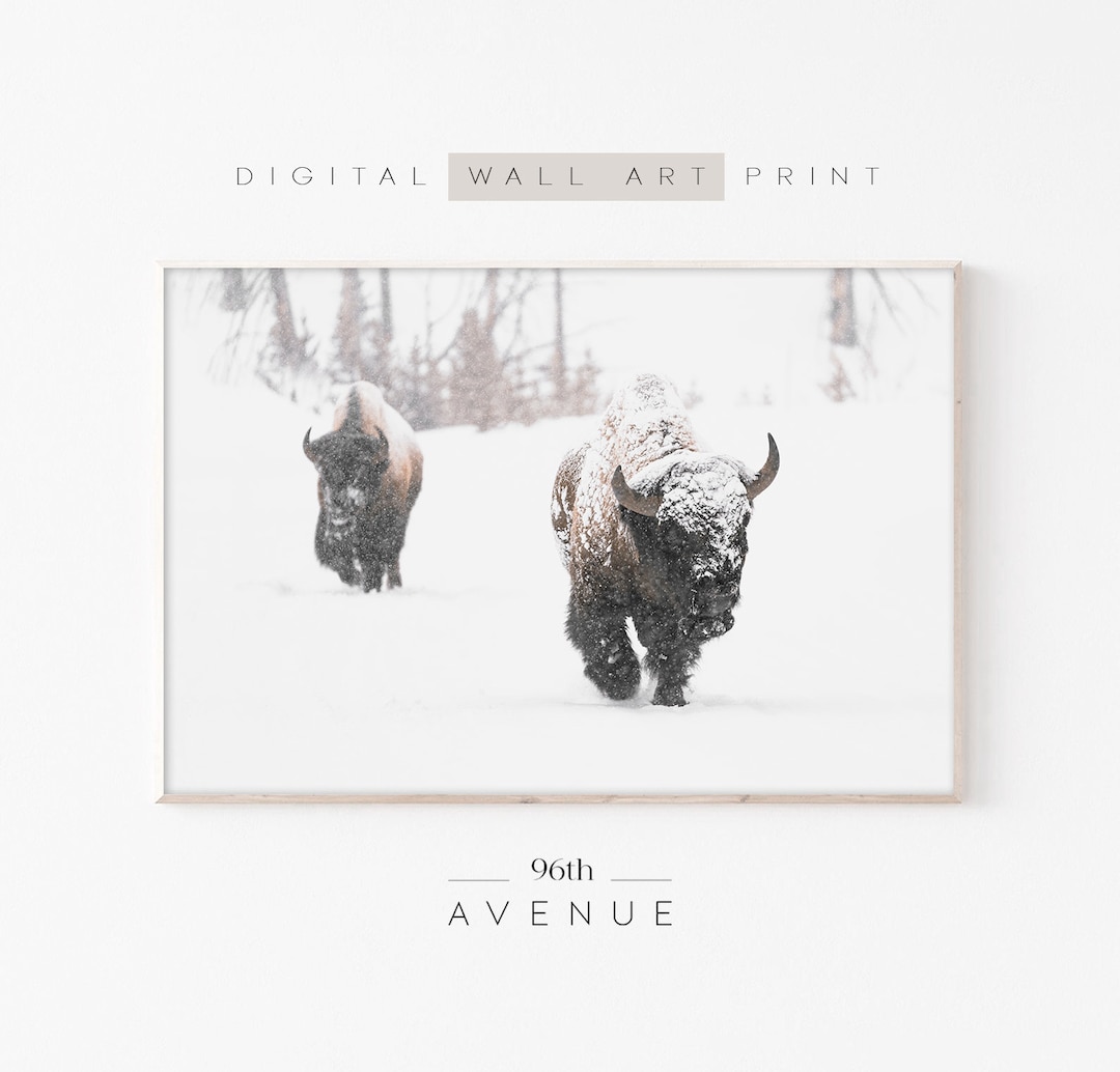 Bison Wall Art | Buffalo Print | Printable Winter Art | Wilderness ...
