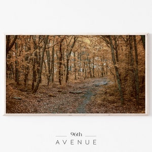 Samsung Frame TV Art | Fall Forest Tv Art | Digital Art For TV | Autumn Frame Tv Art | Instant Download