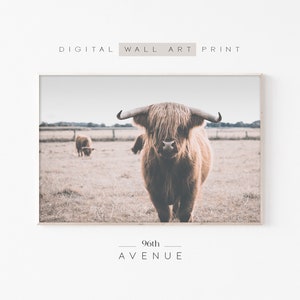 Highland Cow Print | Farm Nursery | Downloadable Art | Cow Printable | Photography Print | Highland Cow Art | Farm Animal Print