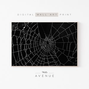 Halloween Printable Wall Art | Halloween Spider Web Print | Digital Download   #0258