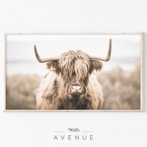 Samsung Frame TV Art | Highland Cow Digital TV Art | Farmhouse Frame TV Art | Instant Download