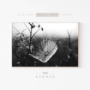 Halloween Printable Wall Art | Halloween Spider Web Print | Digital Download