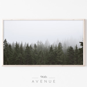 Moody Foggy Forest Landscape Frame TV Art | Dark Academia Decor | Samsung Digital TV Art Download   #2536tv