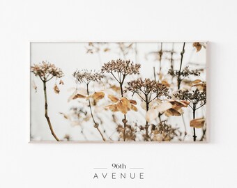 Arte para TV Samsung Frame | Arte digital de flores silvestres secas para TV | Download instantâneo