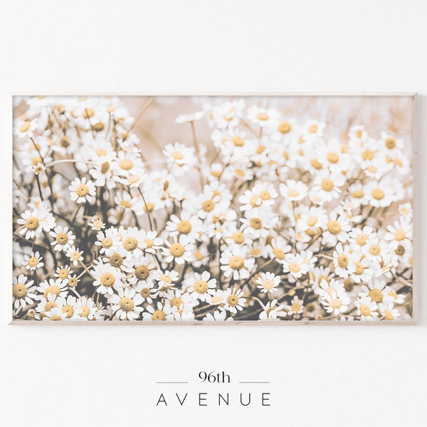 Samsung Frame TV Art | Daisy Art For Tv | Spring Flowers Art | Frame Tv Art | Botanical Art Tv |Art Frame |Digital Art for Tv |Floral Tv Art