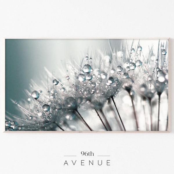 Samsung Frame TV Art | Dandelion Art For Tv | Flower Frame Tv Art | Nature Art Tv | Macro Photography | Digital Art for Tv | Floral Tv Art