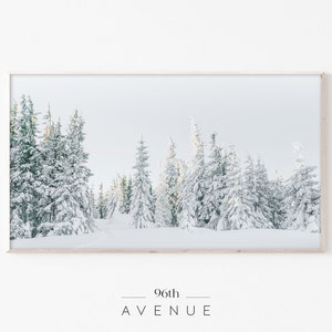 Könnte beinhalten: Eine verschneite Winterlandschaft mit einem Wald aus hohen immergrünen Bäumen, die mit weißem Schnee bedeckt sind. Die Bäume sind vor einem hellblauen Himmel silhouettiert.