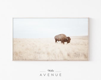 Samsung Frame TV Art Farmhouse | Bison Digital Art Frame Tv | Western Frame TV Art | Instant Download
