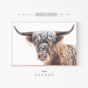 Highland Cow Printable Art | Winter Wall Art | Holiday Home Decor | Instant Download