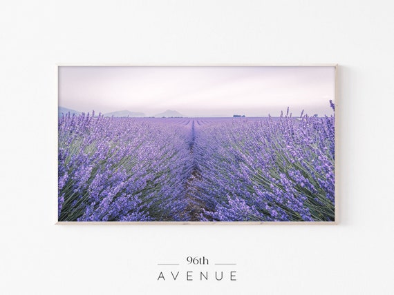 Frame TV Art | Lavander Fields Digital Art For TV
