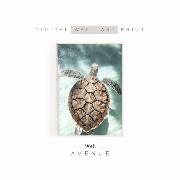 Sea Turtle Digital Print | Coastal Prints | Photography Digital Download | Underwater Photo | Printable Wall Art | Sea Animal Print