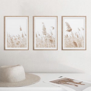 May include: Three framed prints of a field of tall grass blowing in the wind. The grass is a light brown color and the background is a white, blurred background.