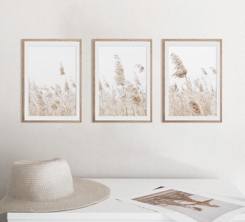 May include: Three framed prints of a field of tall grass blowing in the wind. The grass is a light brown color and the background is a white, blurred background.