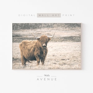 Highland Cow Print | Farm Animal Print | Downloadable Art | Farm Nursery | Cow Printable | Photography Print | Farmhouse Wall Art