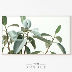May include: A framed print of a close-up of a green leafy plant with a white background. The text "96th AVENUE" is printed below the image.