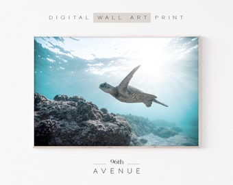 Sea Turtle Digital Print | Coastal Prints | Photography Digital Download | Underwater Photo | Printable Wall Art | Sea Animal Print