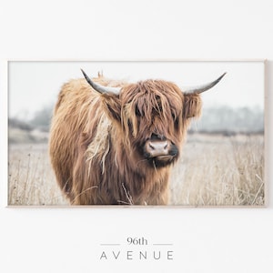 Highland Cow Art For Samsung Frame Tv