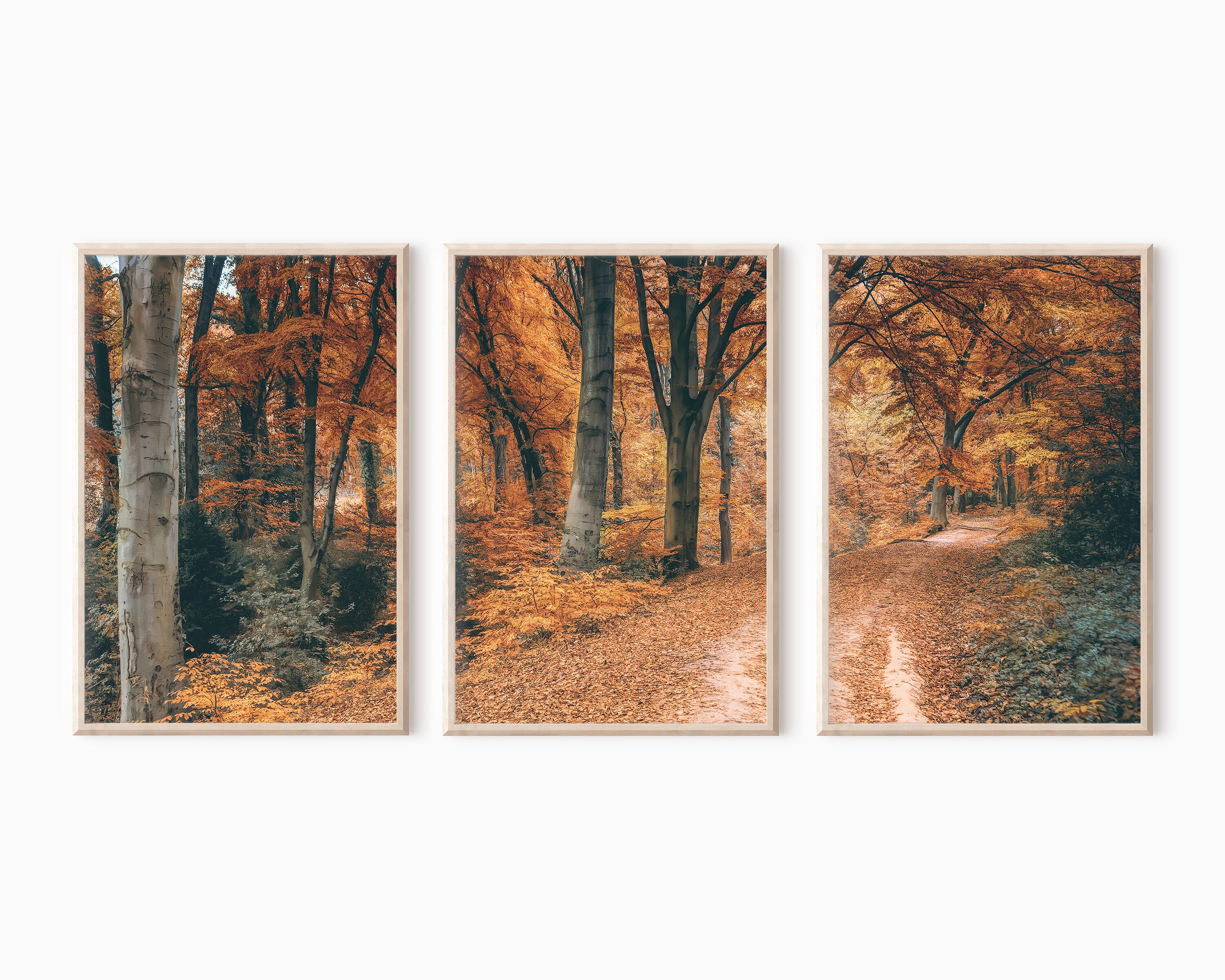 Autumn Forest Set of 3 Prints | Fall Photography 3 Piece Wall Art ...