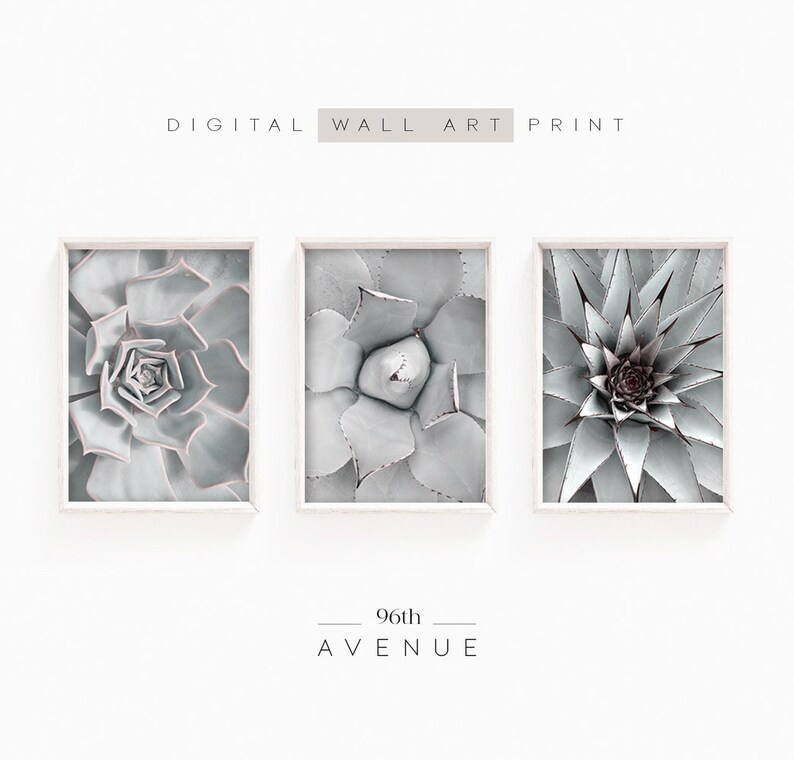Succulent Wall Art Set of 3 Prints | Botanical Print Set | Sage Green ...