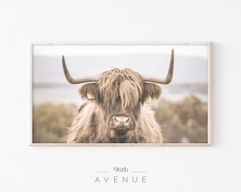 Samsung Frame TV Art | Highland Cow Digital TV Art | Farmhouse TV Art | Instant Download