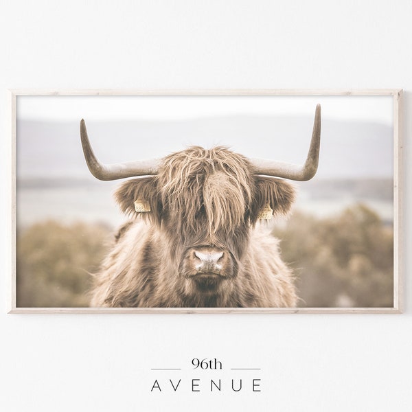 Samsung Frame TV Art | Highland Cow Digital TV Art | Farmhouse TV Art | Instant Download