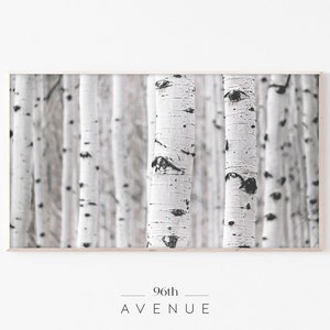 Puede incluir: Una fotograf&iacute;a en blanco y negro de un bosque de abedules. Los &aacute;rboles son altos y delgados, con corteza blanca y marcas negras. La foto est&aacute; tomada desde un &aacute;ngulo bajo, mirando hacia arriba a los &aacute;rboles.