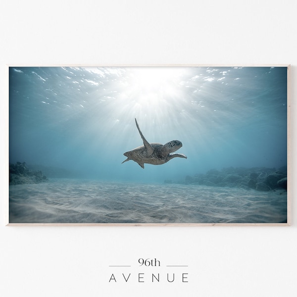 Sea Turtle Photo | Samsung Frame TV Art | Beach Art Frame TV | Summer Frame Tv | Art for Frame TV | Samsung Tv |Sony Tv |Laptop Background