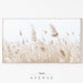 Samsung Frame Tv Art | Pampas Grass Frame Tv Art | Dried Grass | Modern Farmhouse Art | Botanical Art Tv | Art for TV | Digital DOWNLOAD