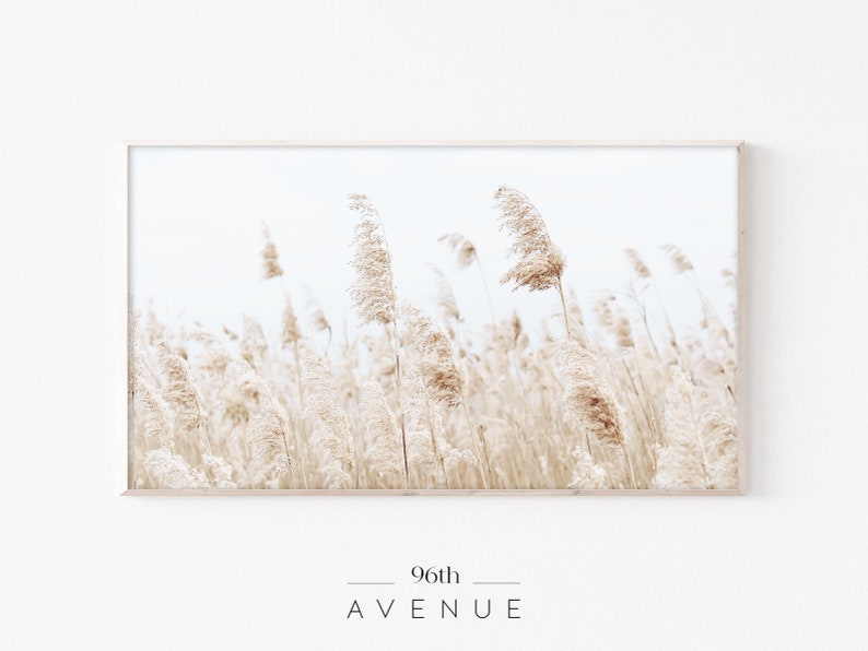 Samsung Frame Tv Art | Pampas Grass Frame Tv Art | Dried Grass | Modern Farmhouse Art | Botanical Art Tv | Art for TV | Digital DOWNLOAD 