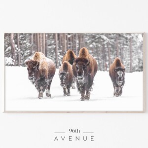 Samsung Frame TV Art | Winter Buffalo Farmhouse Digital Art For TV | Instant Download