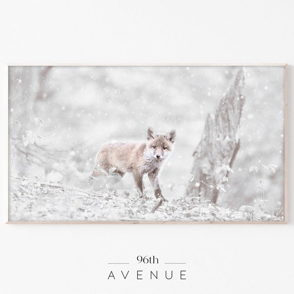 Arctic Fox Samsung Winter Frame Tv Art | Arctic Nursery Animals Frame Tv Digital Art Download |  Minimalist Winter Wall Art |Wildlife Animal
