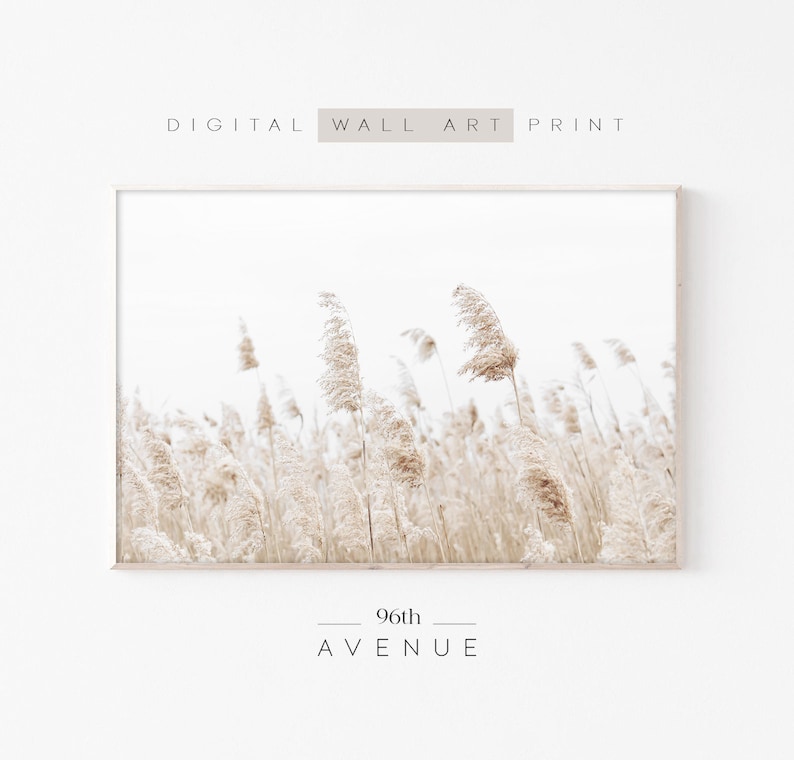 May include: A digital wall art print featuring a field of tall, dried grasses in shades of beige and white against a white background. The text "96th AVENUE" is printed below the image.