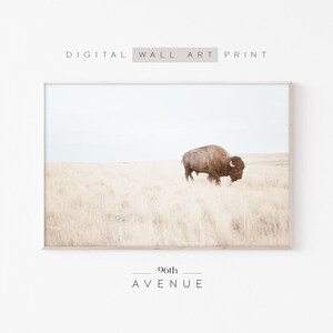 Bison Wall Art | Bison Print | Western Wall Art Decor | Printable Bison Art