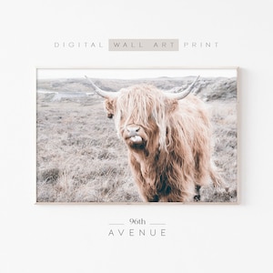 Highland Cow Print | Farm Animal Print | Farm Nursery | Downloadable Art | Cow Printable | Photography Print | Farmhouse Wall Art