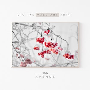 Winter Berry Branch Art Print | Country Farmhouse Holiday Wall Decor Printable Art