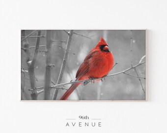 Red Bird Samsung Frame Tv Art | Winter Animal Wall Art | Holiday Frame Tv |Wildlife Animal |Christmas Cardinal Frame Tv Digital Art Download