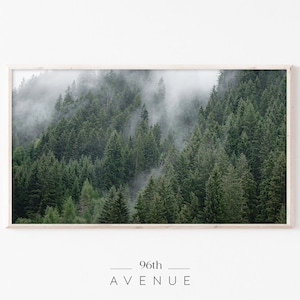 Samsung Frame TV Art | Forest Fog Digital TV Art | Moody Forest Art | Nature Photo Download
