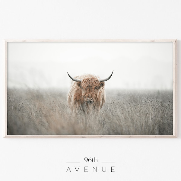 Illustration pour téléviseur avec cadre Samsung | Art numérique vache Highland pour télévision | Téléchargement instantané