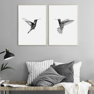 Puede incluir: Dos fotograf&iacute;as en blanco y negro de colibr&iacute;es en vuelo. Los colibr&iacute;es est&aacute;n mirando en direcciones opuestas. Las fotograf&iacute;as est&aacute;n enmarcadas en marcos negros simples.