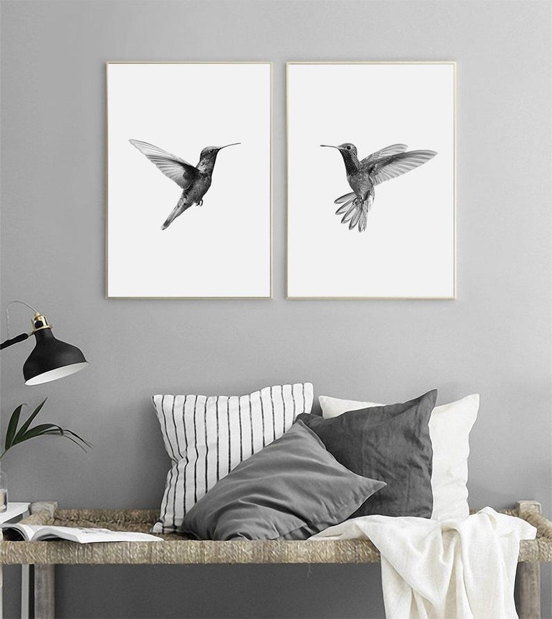 Puede incluir: Dos fotograf&iacute;as en blanco y negro de colibr&iacute;es en vuelo. Los colibr&iacute;es est&aacute;n mirando en direcciones opuestas. Las fotograf&iacute;as est&aacute;n enmarcadas en marcos negros simples.