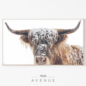 May include: A framed print of a Highland cow in a snowy scene. The cow has long, brown fur and large horns, with snow covering its face and body. The print is set against a white background, with the text "96th AVENUE".