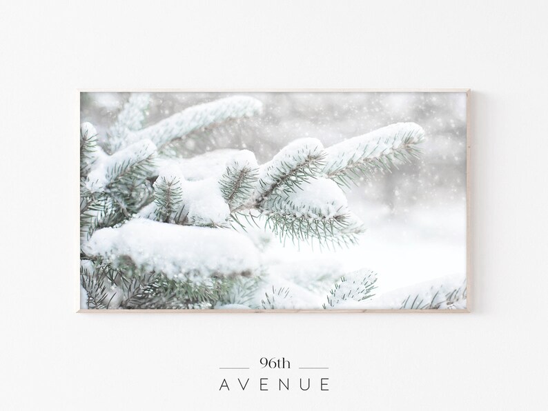 May include: A close-up of snow-covered evergreen branches with a blurred background of falling snow.