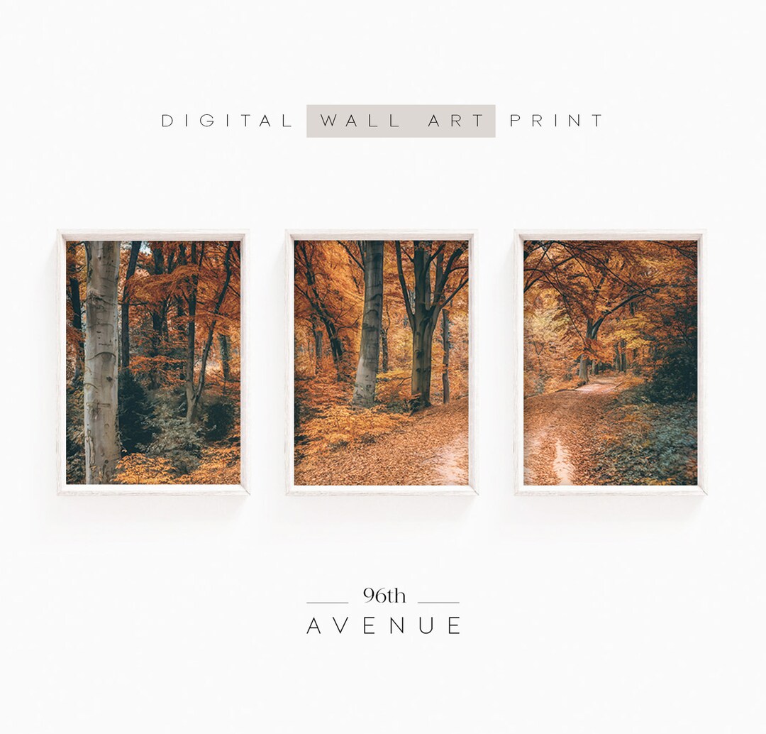 Autumn Forest Set of 3 Prints | Fall Photography 3 Piece Wall Art ...