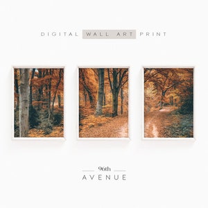 Autumn Forest Set Of 3 Prints | Fall Photography 3 Piece Wall Art Digital Download