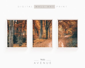 Herfstbos set van 3 prints | Herfstfotografie 3-delige muurkunst digitale download