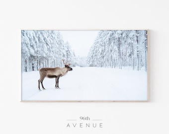 Könnte beinhalten: Ein Rentier steht in einem schneebedeckten Wald mit hohen, schneebedeckten Bäumen. Das Rentier ist nach rechts gewandt und schaut nach links. Der Schnee ist tief und weiß, und die Bäume sind kahl.