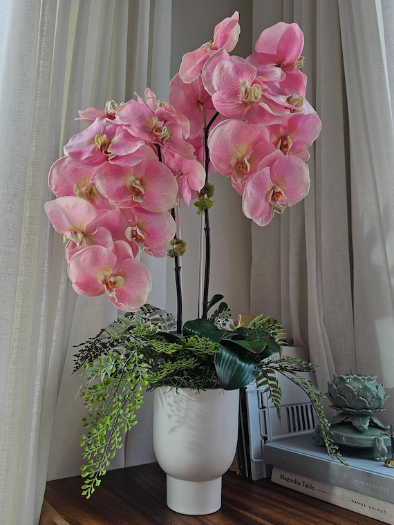 Lusso vero tocco artificiale grande orchidea Phalaenopsis rosa, finta  orchidea farfalla rosa, orchidea di seta con felci in un vaso di metallo  punteggiato d'oro -  Italia