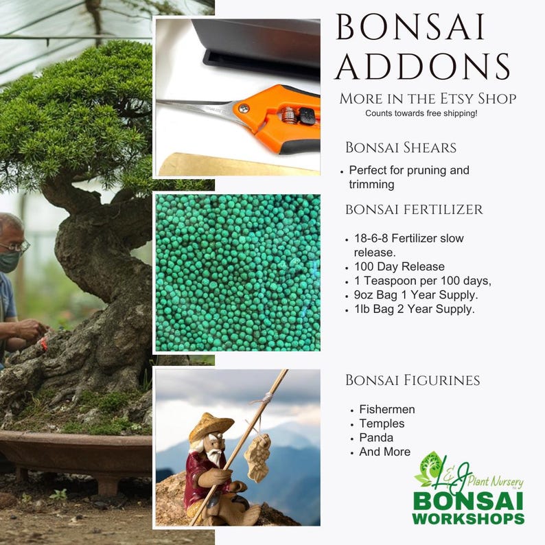 May include: Bonsai Addons: a collection of tools and accessories for bonsai care.  Includes bonsai shears, slow-release fertilizer, and figurines.  More items available in the Etsy shop.  Counts towards free shipping!