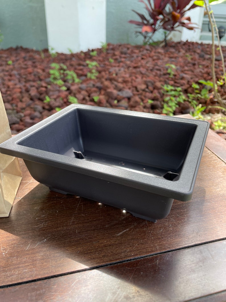Learn Bonsai Techniques with This Complete Kit
