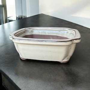 May include: Cream-colored rectangular ceramic planter with a brown rim and interior. The planter has a slightly distressed finish and sits on small feet. Ideal for bonsai or small plants.